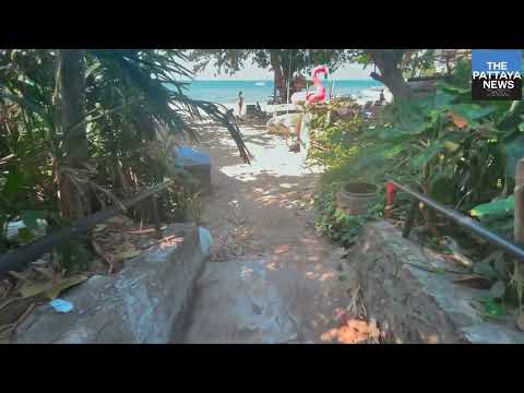 A look around Cozy Beach and chat about stray dogs in the area.