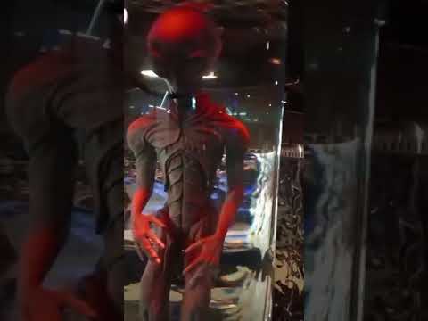 Nevada Story a Cafe based on alien theme #thepattayanews #Pattaya #trending #thailand #news