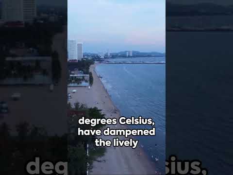 Pattaya, Jomtien Beach: A Paradise in Peril? #Thailand #News