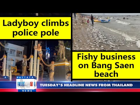 Pattaya & Thailand LATEST NEWS from Fabulous 103fm (14 March 2023)