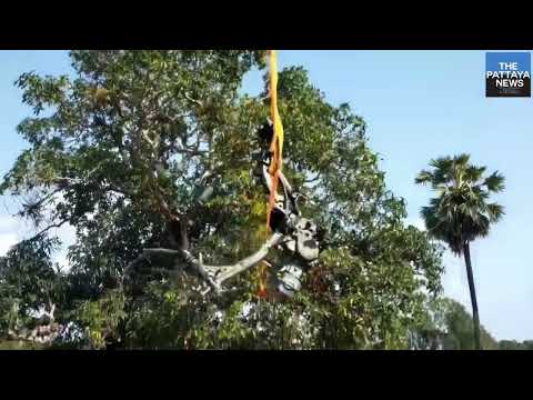 Police find more stolen motorbikes in Pattaya reservoir dubbed vehicle graveyard.